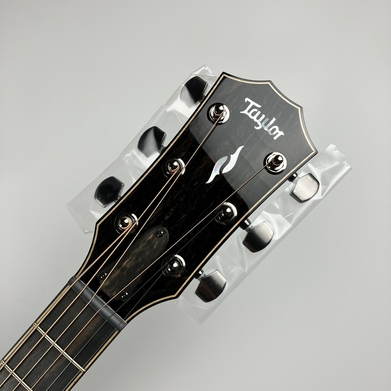 Taylor Taylor 814ce エレアコ オール単板 スプルーストップ ローズ