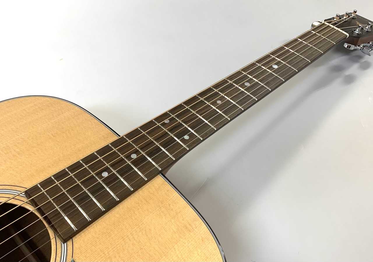 K.Yairi Standard Series DY-18（新品）【楽器検索デジマート】