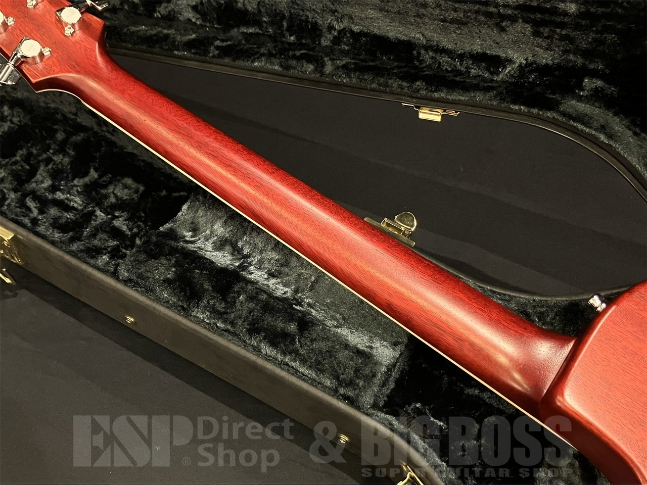 Zemaitis A24MF / Natural 【HISASHI Mod】（中古/送料無料）【楽器