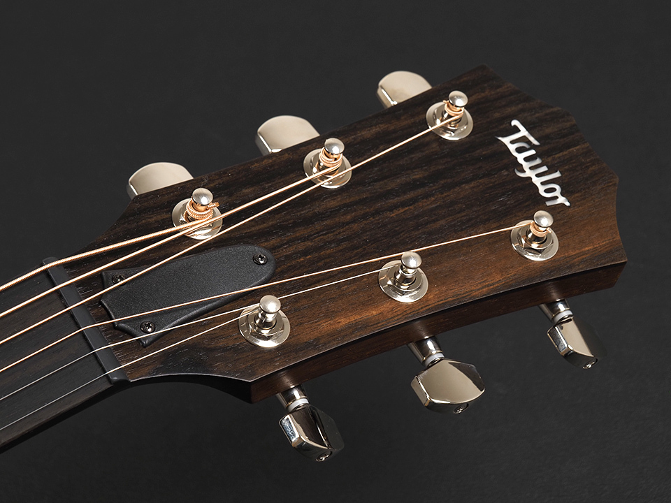 Taylor AD17 Blacktop w/Element VTC ~American Dream Series