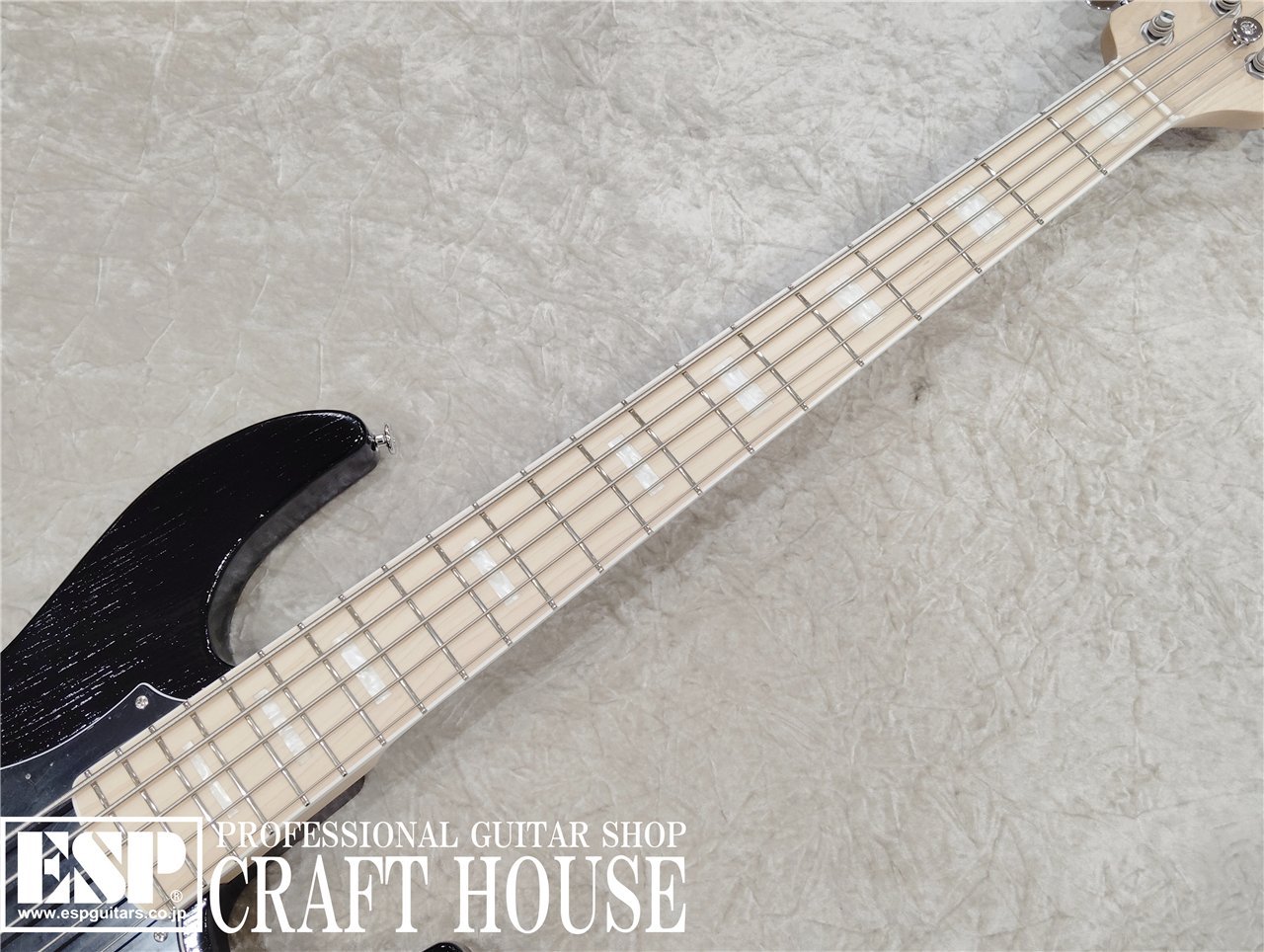 EDWARDS E-AMAZE-5-AS/M / Solid Black（新品/送料無料）【楽器検索