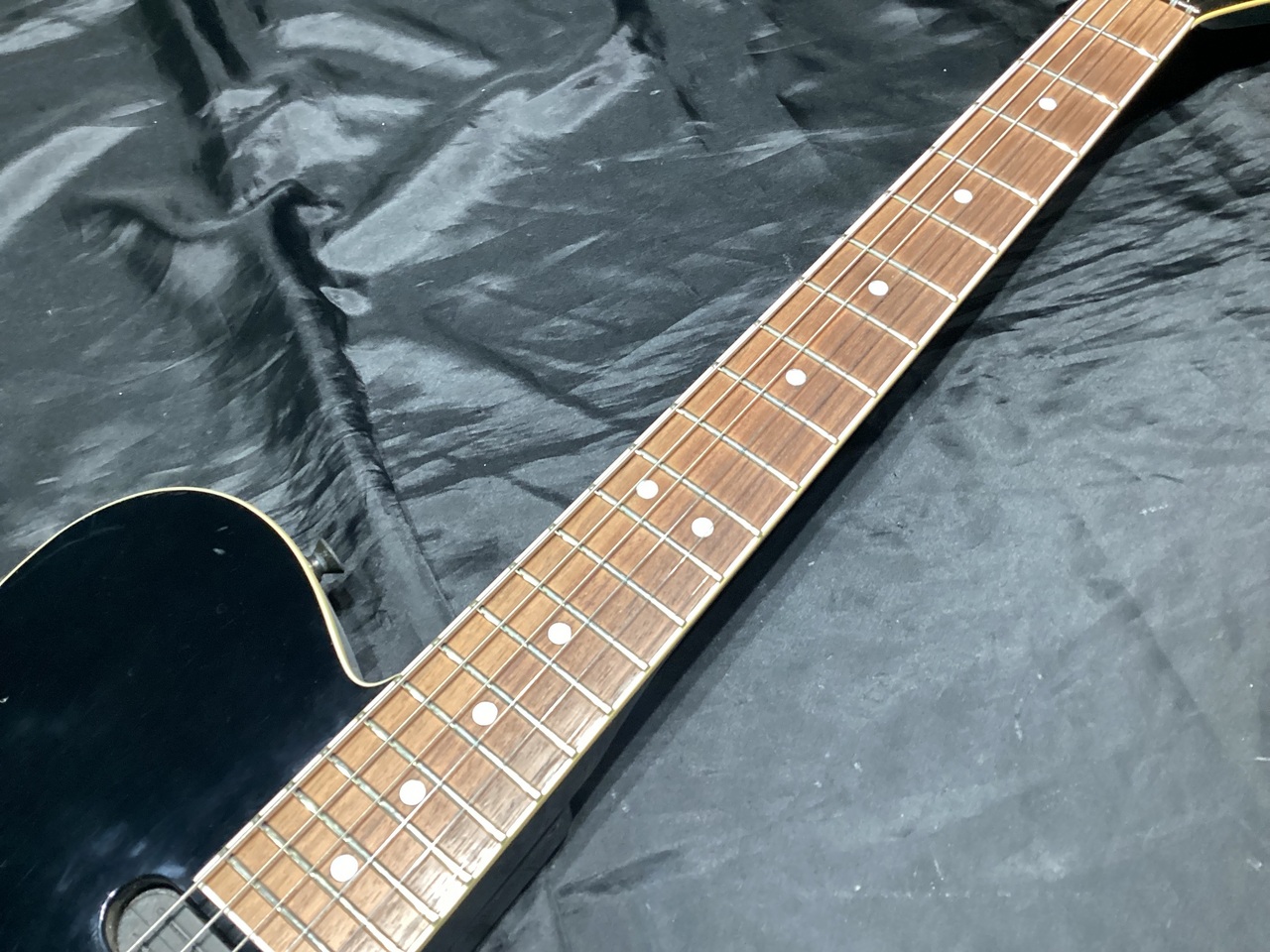 FERNANDES フェルナンデス SUSTAINER サスティナーユニット 18V