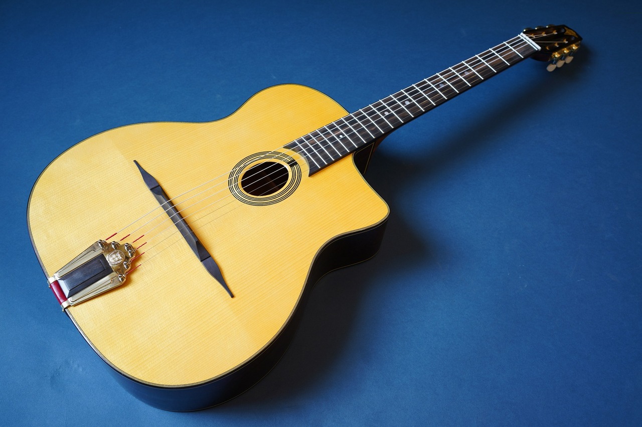 Stringphonic Advanced Oval 10th Anniversary（新品/送料無料）【楽器