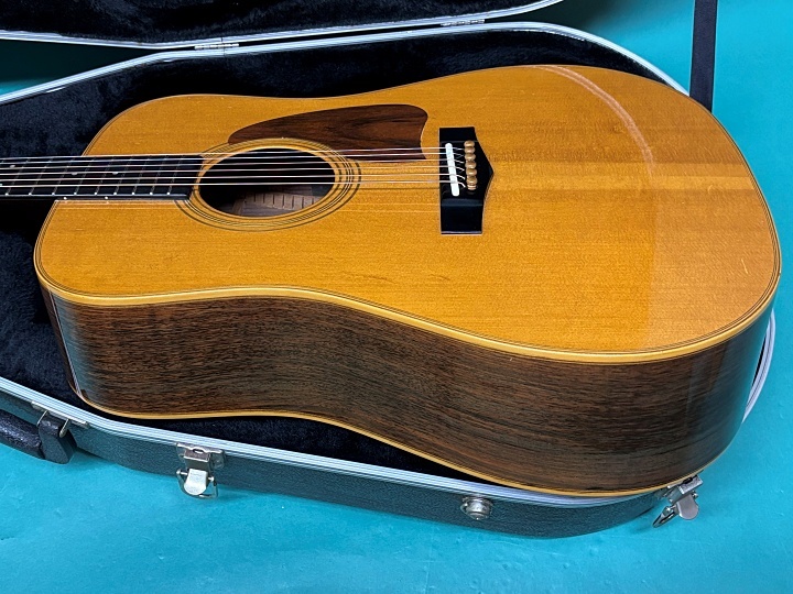 Ibanez AW-100（中古）【楽器検索デジマート】