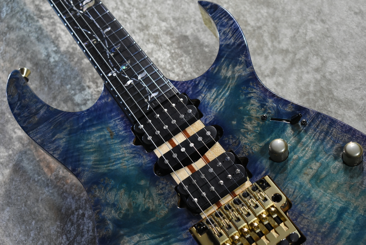 Ibanez VISIONS IV2RG #L25302【3.86kg】【極上Burl Maple Top/スルー