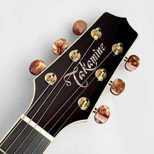 Takamine DMP50S (Wine Red）【島村楽器限定モデル】（新品/送料無料