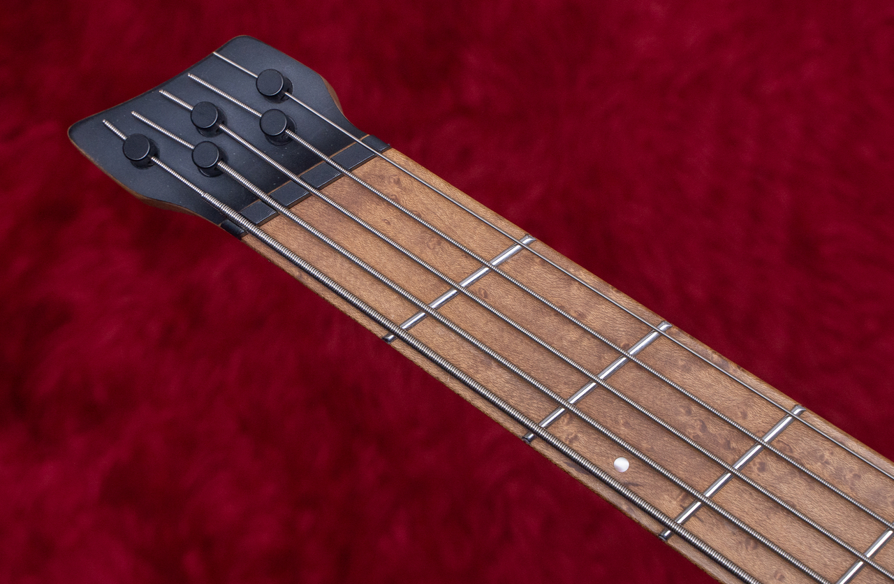 Ibanez EHB1005MS-SFM 2022 3.485kg #I221205077【GIB横浜】（中古