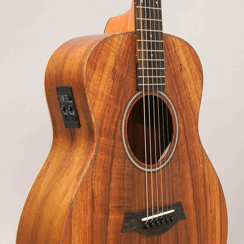 Taylor 【数量限定特価】Taylor GS Mini-e Koa テイラー（新品