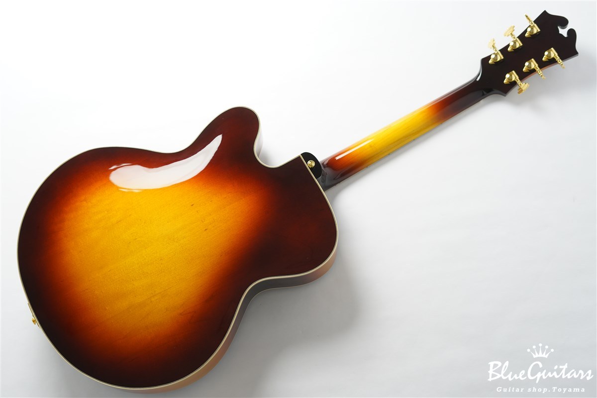 ギター yukihiro WATER ROAD GUITARS Arte -Masaaki Kishibe Model-|ドルフィン