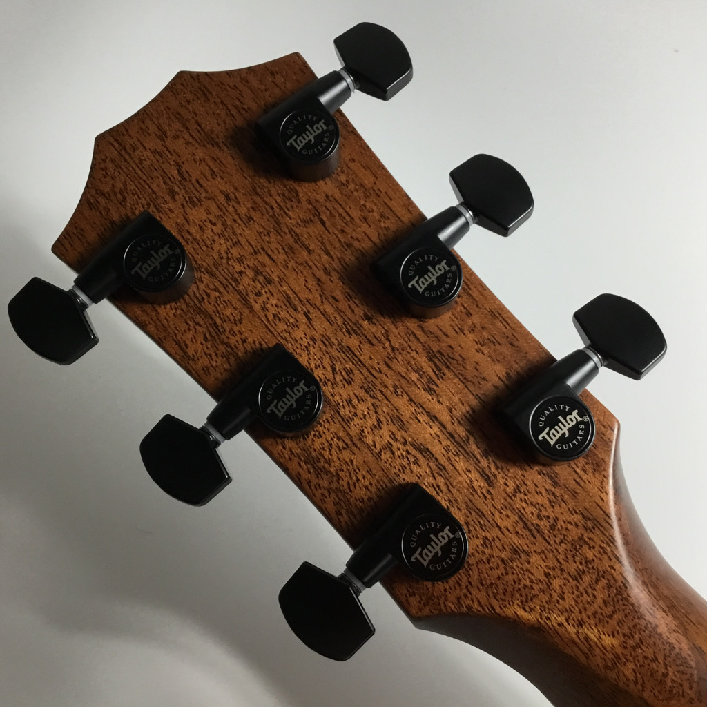 Taylor LTD 314ce Koa/TRS SEB エレアコギター（B級特価/送料無料）【楽器検索デジマート】