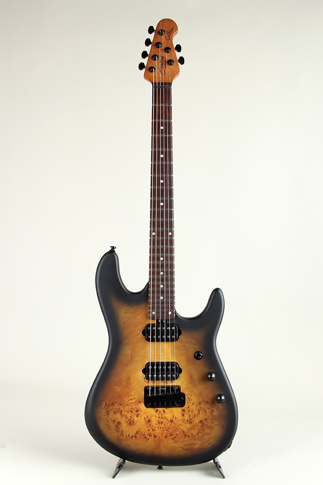 ギター Sterling by Musicman Richardson6 Sterling by MUSIC MAN Richardson6 Natural Poplar Burl Burst（新品
