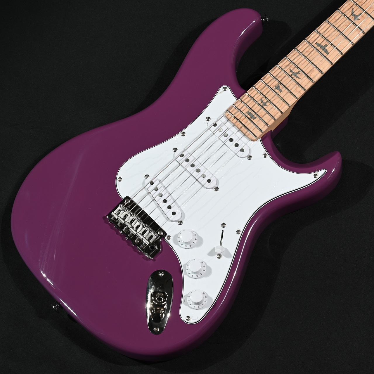 Paul Reed Smith(PRS) SE Silver Sky Maple 7J Summit Purple S/N
