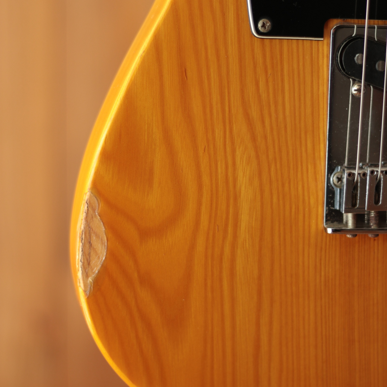 Fender Japan TLM-55（中古/送料無料）【楽器検索デジマート】