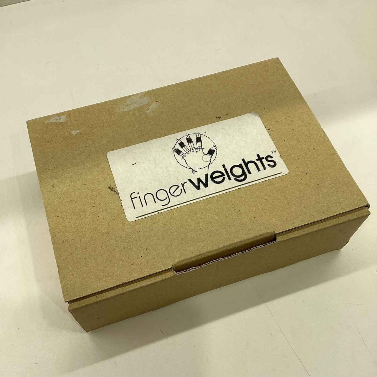 ピアノ練習用器材 finger weights 乞う フィンガーウェイツ 解説DVD付