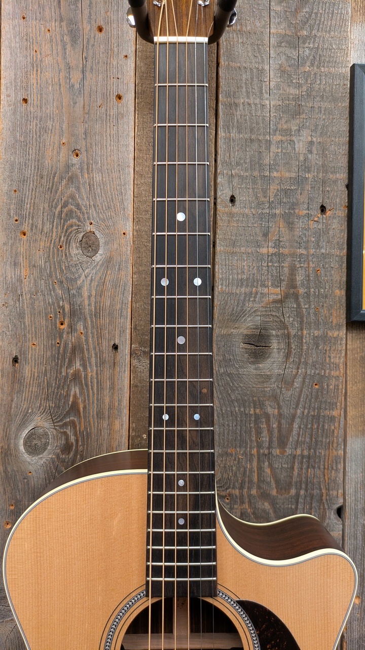 ギター Martin & co. GPC-16E-01 Martin / GPC-16E-01 Rosewood (2024) 新品《アコースティックギターー