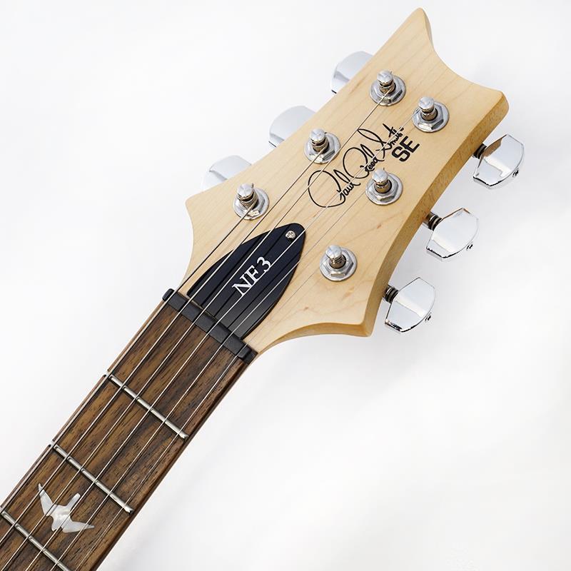 Paul Reed Smith(PRS) SE NF3 (Gun Metal Gray) SN.CTIG049239 【2024