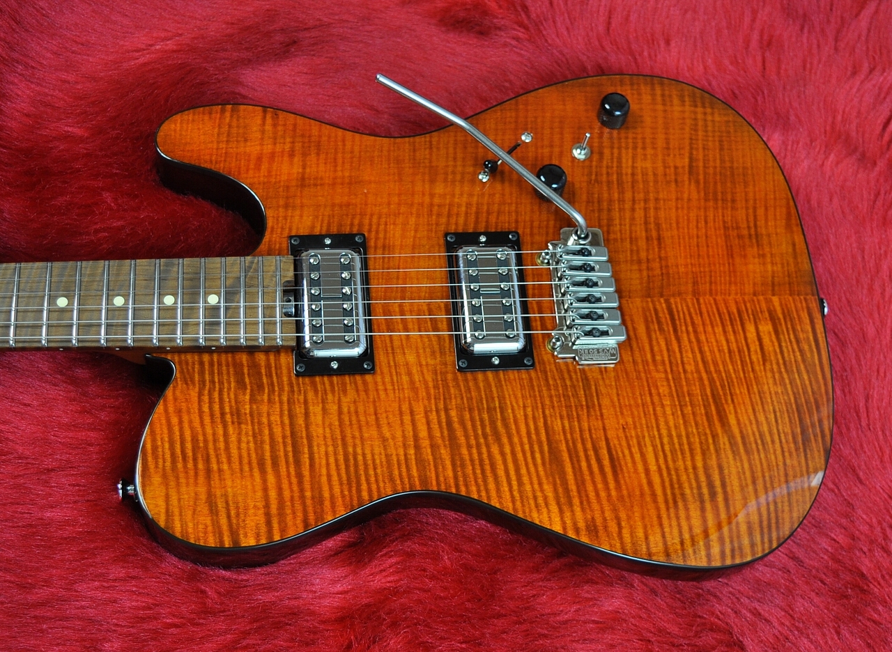 Bacchus TACTICS24-FM/RSM ST-BR Global series（中古）【楽器