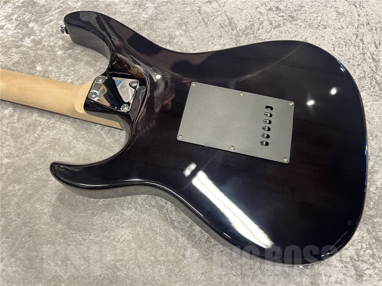 GrassRoots G-SNAPPER-CTM/P【See Thru Black】（新品/送料無料
