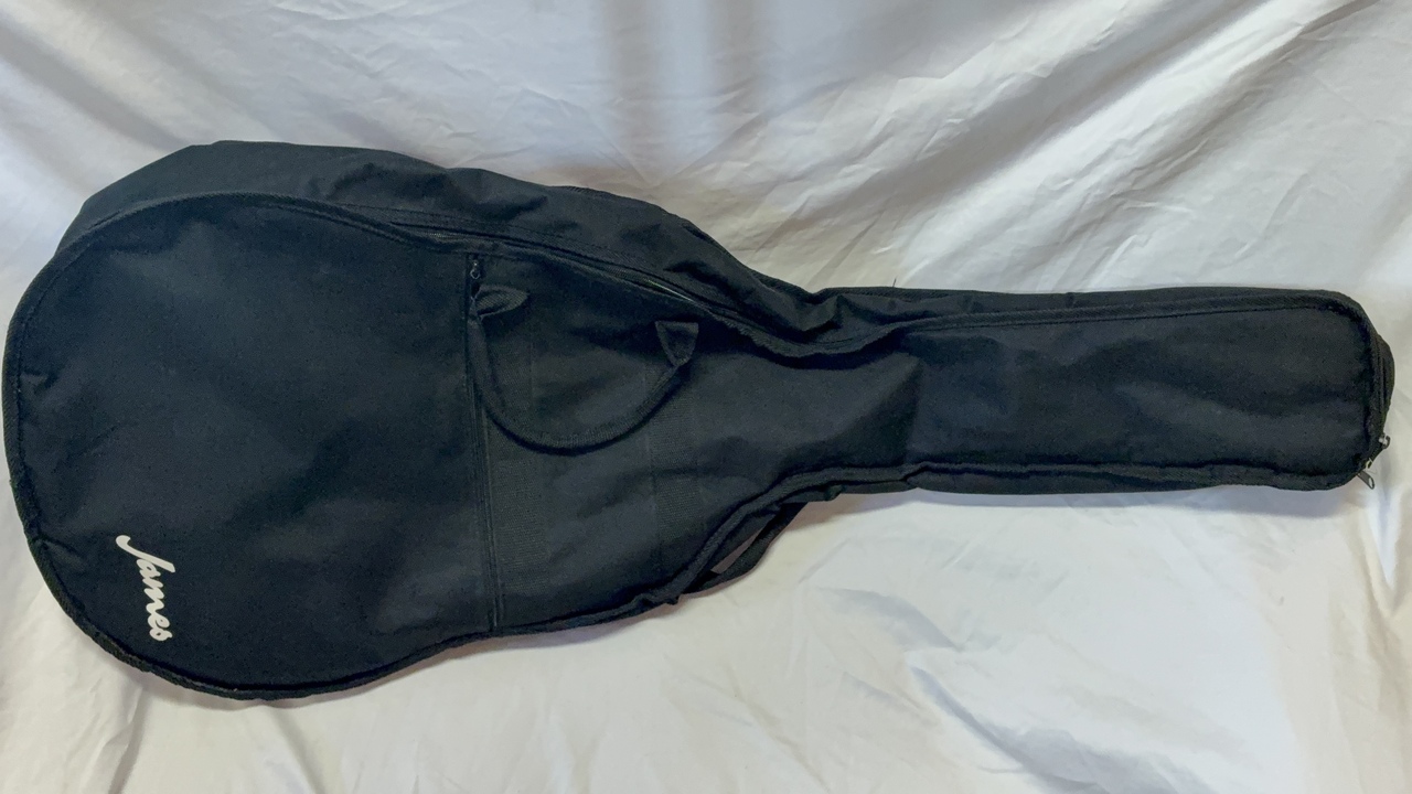 James JF400 NAT（中古）【楽器検索デジマート】