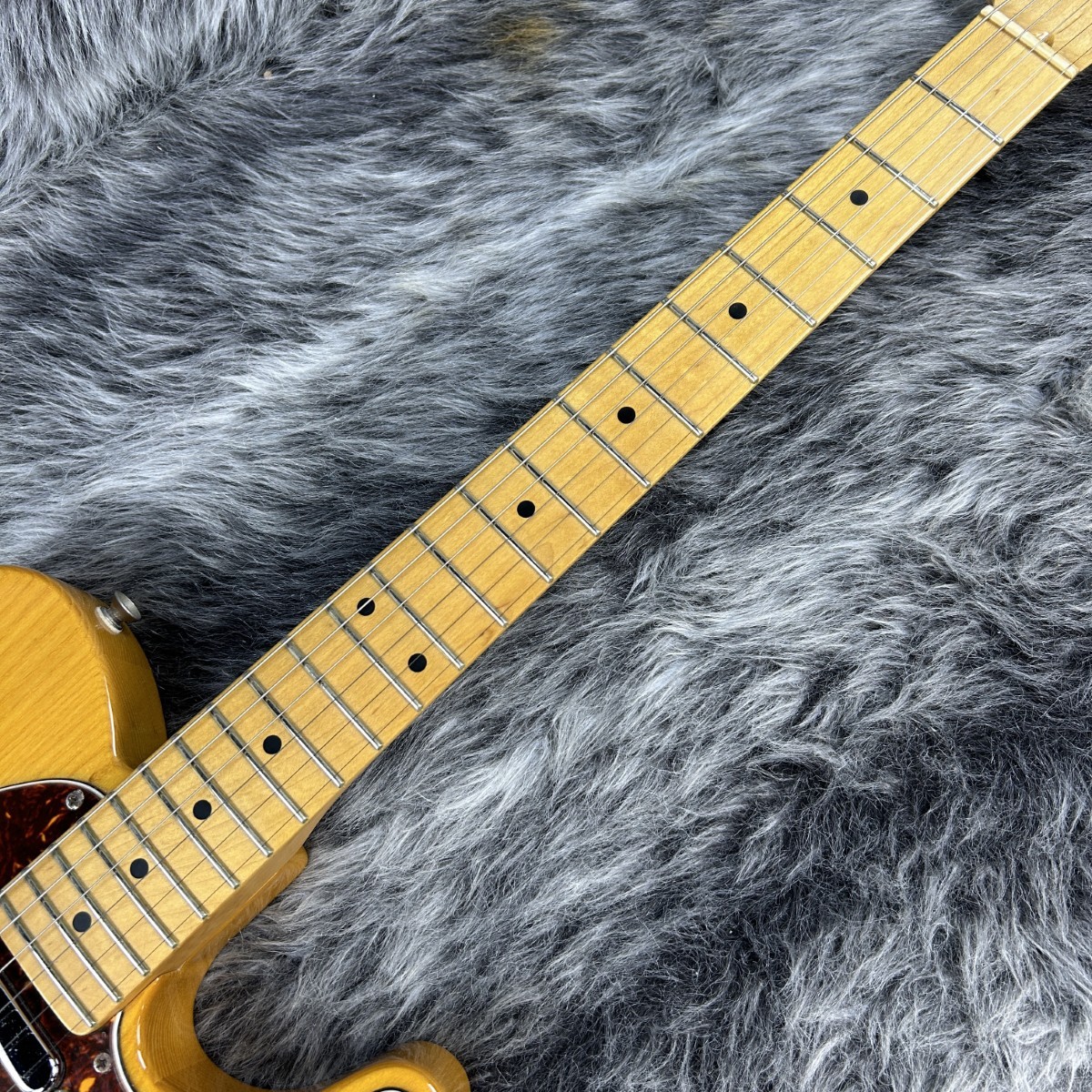 フジゲン テレキャスター NCTL-10M/ASH FUJIGEN(FGN) NCTL-10M/ASH（中古/送料無料）【楽器検索デジマート】