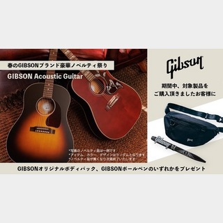 Gibson Hummingbird Standard VS（新品）【楽器検索デジマート】