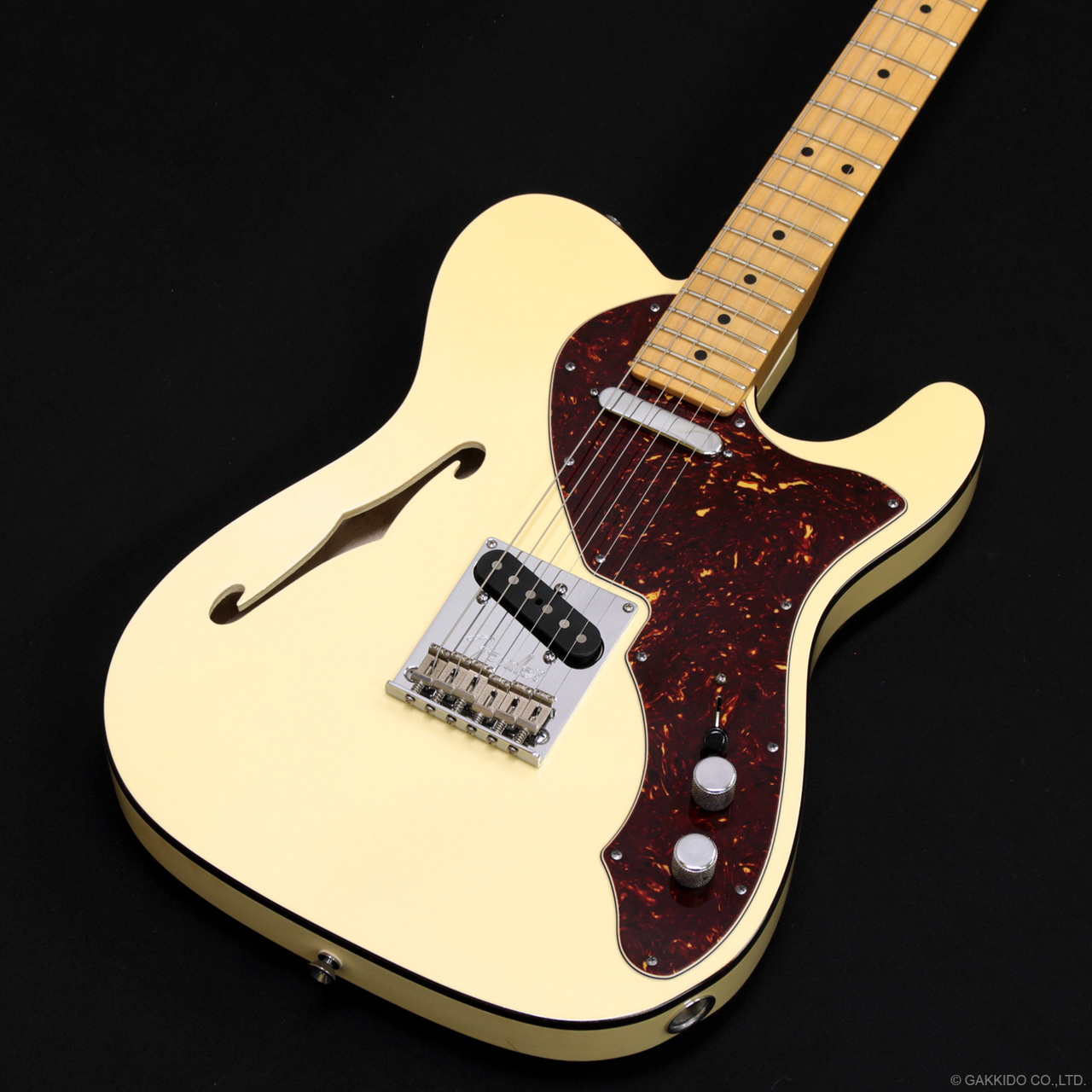 Fender 60th Anniversary Tele-bration Modern Telecaster Thinline
