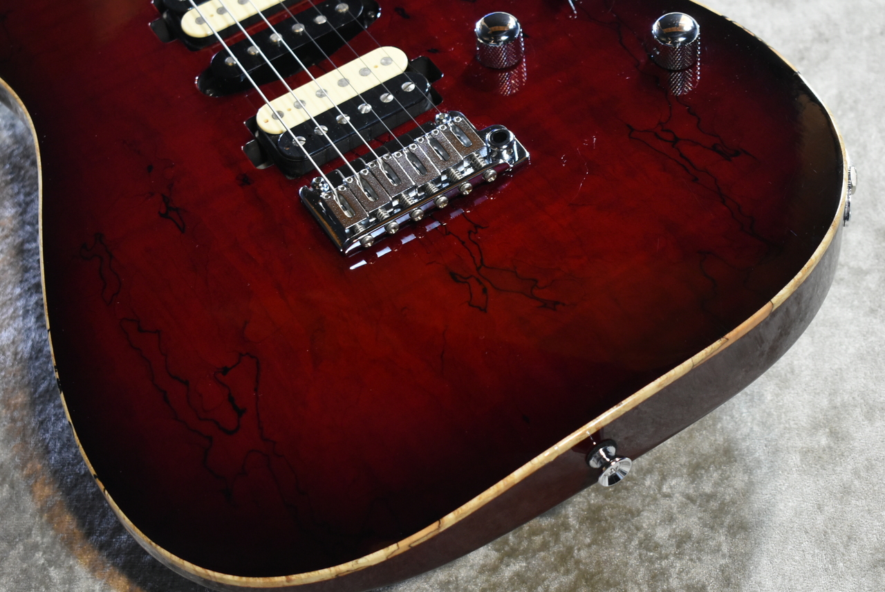 TS Guitars セミオーダー DST-24 赤 TS Guitars セミオーダー DST-24 赤 TS Guitars セミオーダー