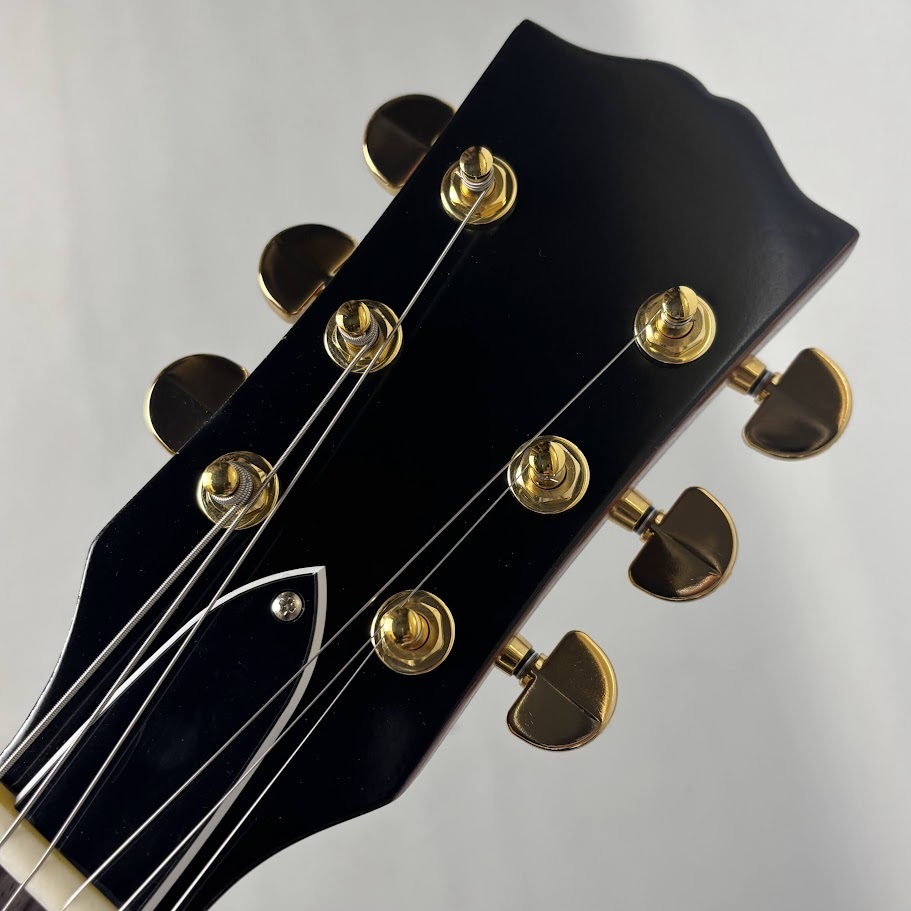 LG 【現物画像】LG-LPS-JP/AG 【≒3.8kg】（新品/送料無料）【楽器検索