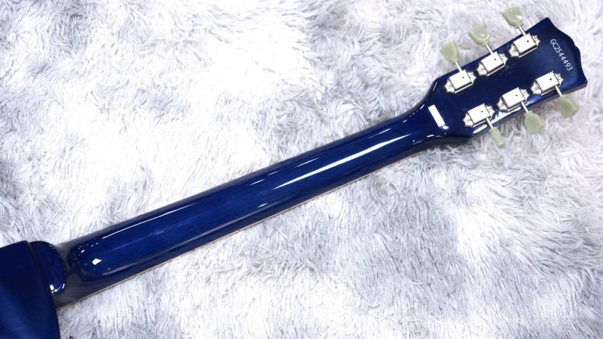 GrassRoots G-LP-STD / See Thru Blue（新品/送料無料）【楽器検索