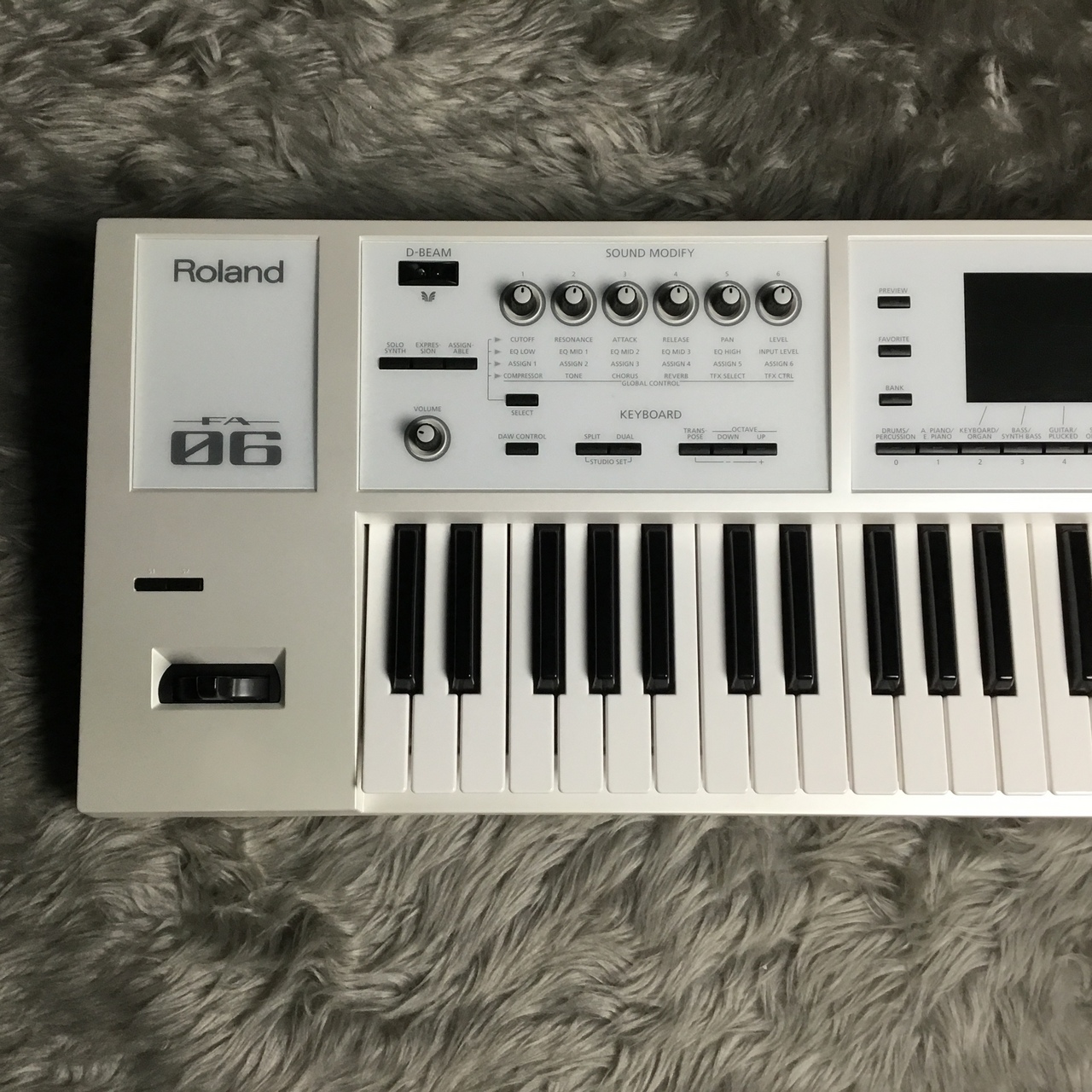 Roland FA-06-SC【展示品一台限りの大特価!!】（新品特価/送料無料