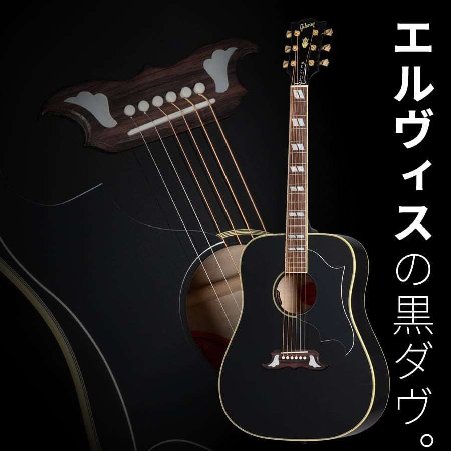 Gibson Elvis Dove (Ebony) 2009年製 Gibson Elvis Dove (Ebony) 2009年製