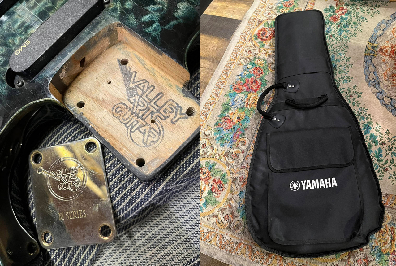 Valley Arts M Series Custom Line Limited(Made in Japan