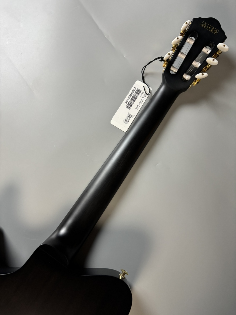 Ibanez FRH20FMN エレガットギター（新品/送料無料）【楽器検索