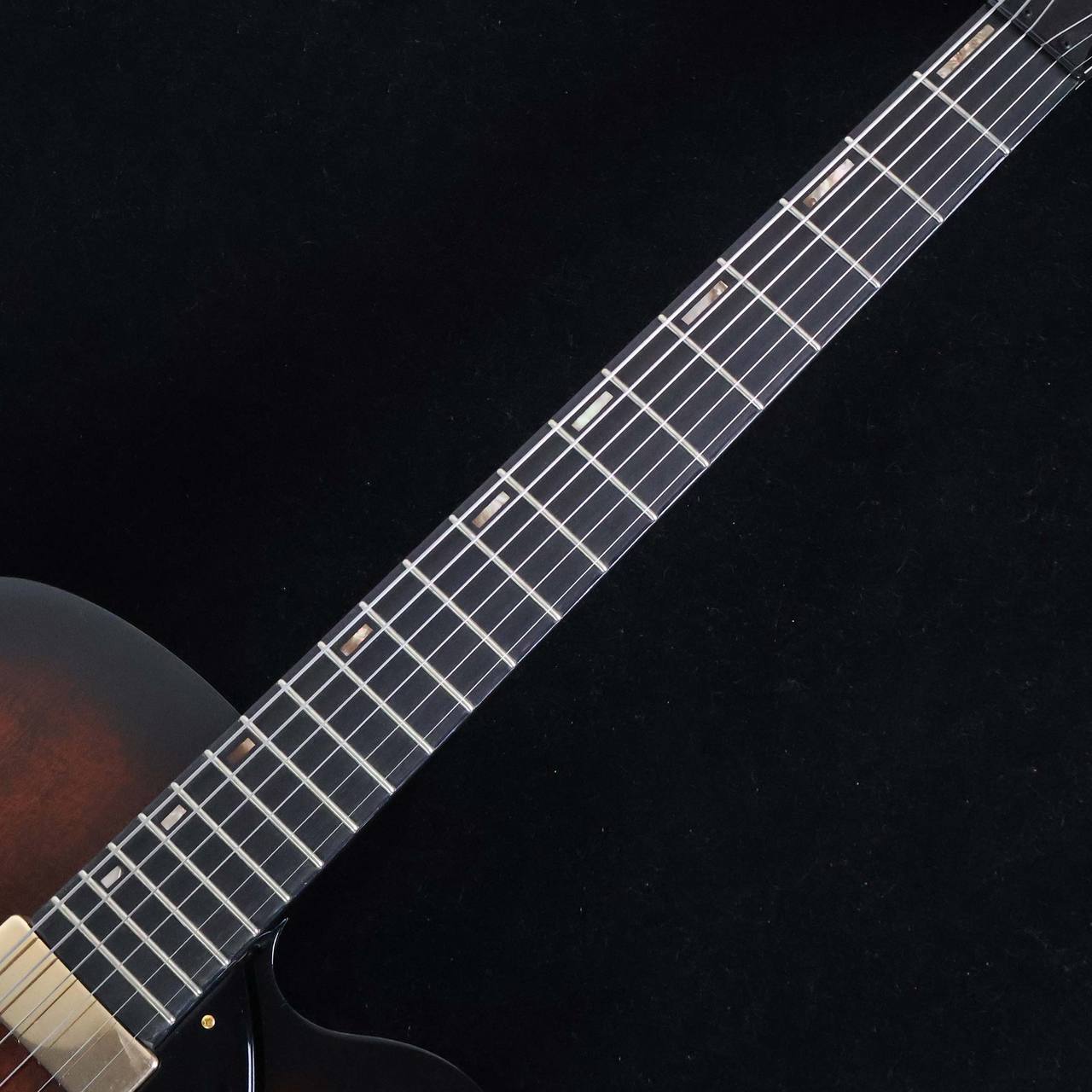 Ibanez AFC151-TBC S/N：PW25050425 【フルアコ】【島村楽器限定モデル