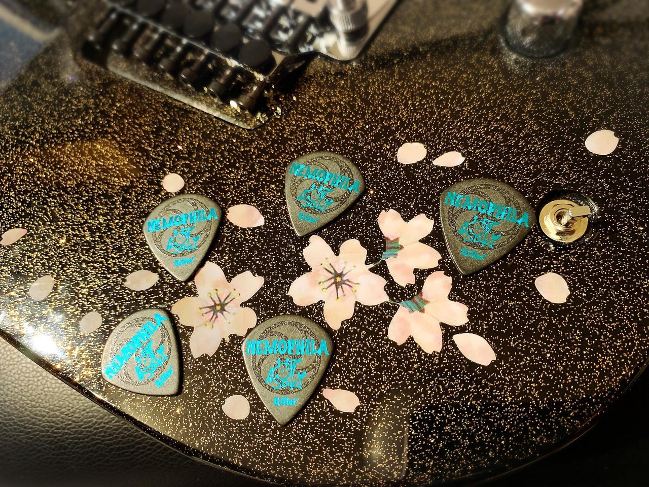 Killer KP-NS12 Nemophila Saki pick 20枚（新品）【楽器検索