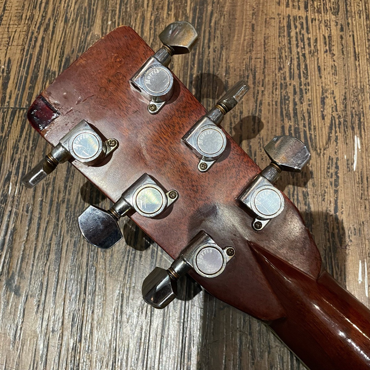 キッドマンT.F.MorrisW-50アコースティックギター Morris W-50 TF Acoustic Guitar Made in Japan