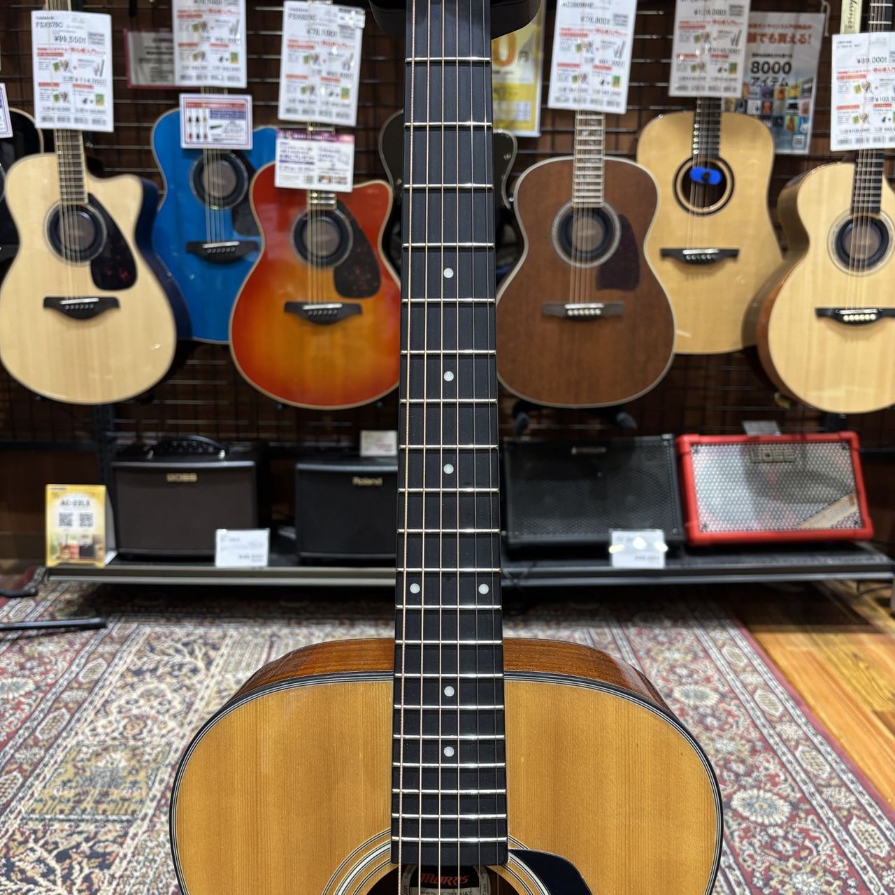 Morris F251【現物写真】（中古）【楽器検索デジマート】