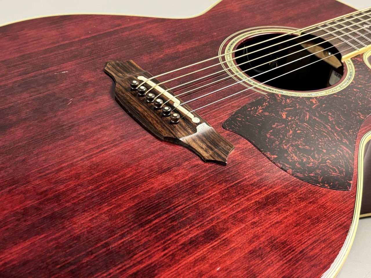 Takamine TDP500SP-WR エレアコ 純正ソフトケース付