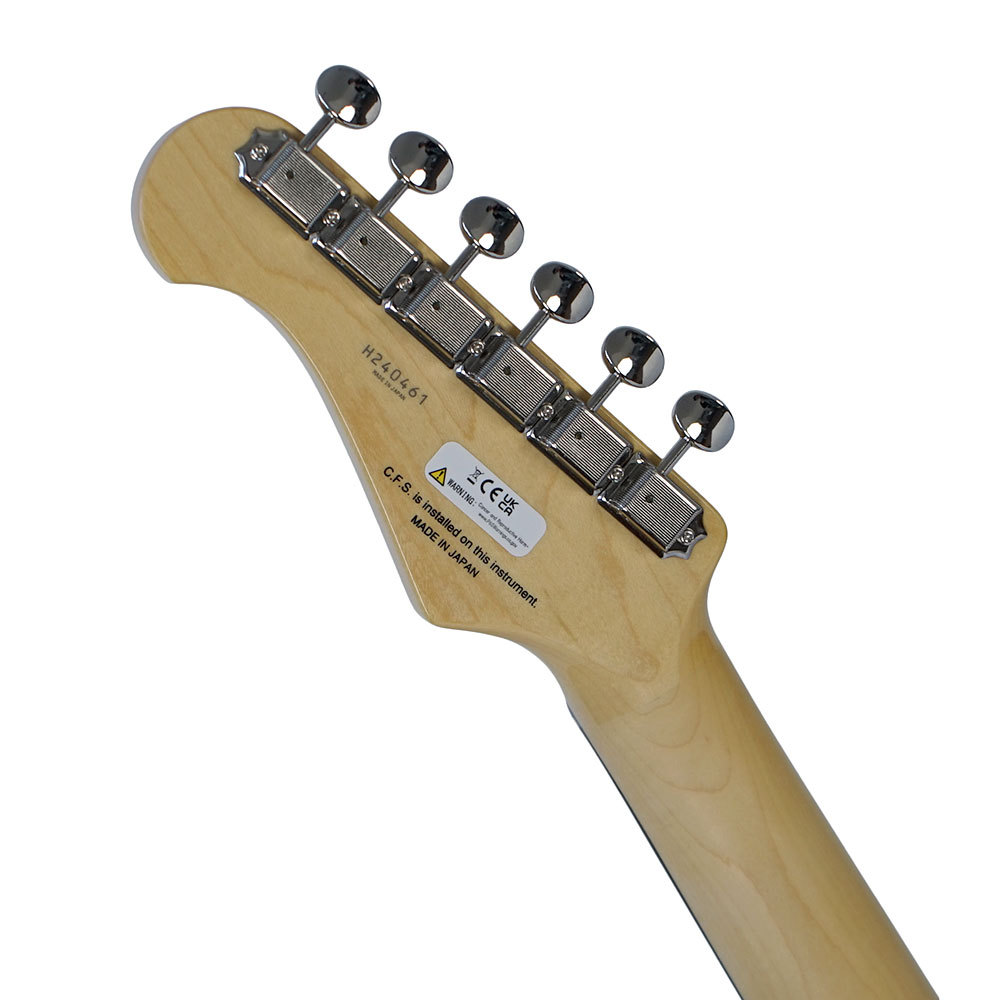 FUJIGEN(FGN) フジゲン FGN Neo Classic NTE100RAL BK テレキャスター