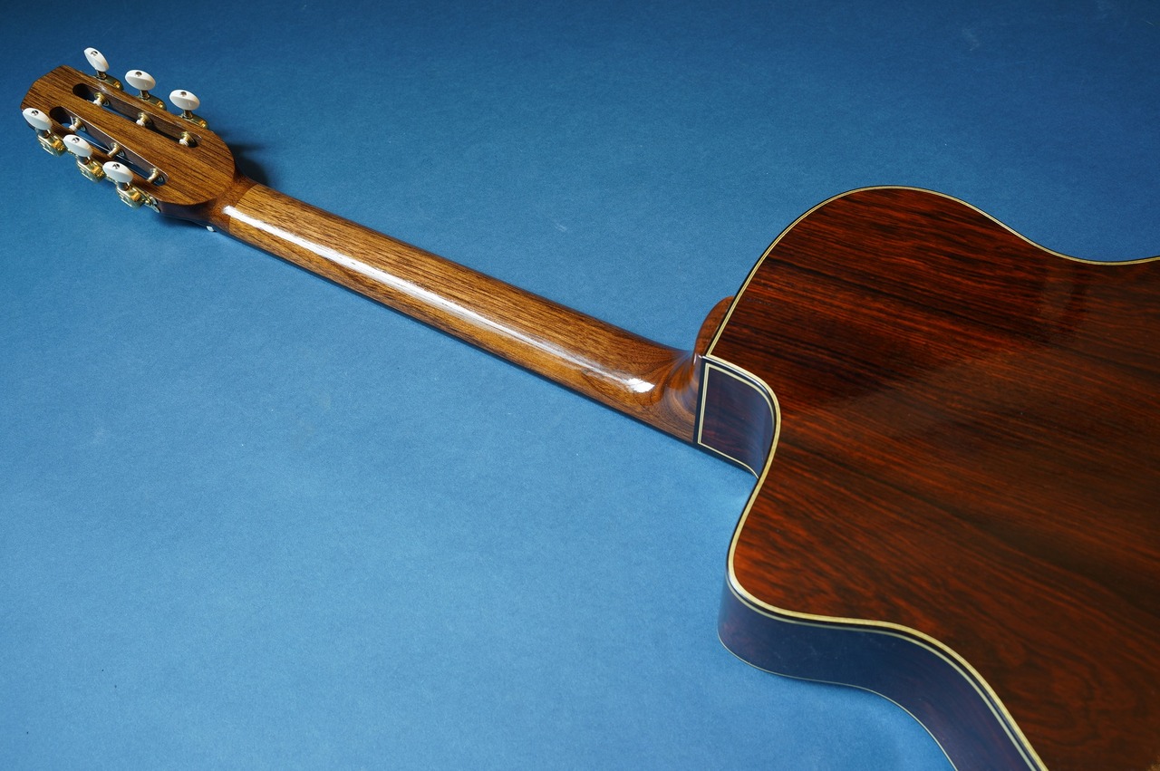 Stringphonic Advanced Oval 10th Anniversary（新品/送料無料）【楽器