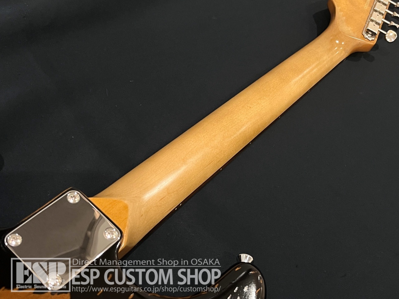 【ネネさん専用】EDWARDS E-SE-S.K.I.N. お取寄せ商品】EDWARDS(エドワーズ) E-SE-S.K.I.N. (LUNA SEA