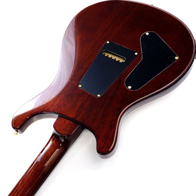 Paul Reed Smith(PRS) 2024 Custom 24 10top (Orange Tiger ) SN