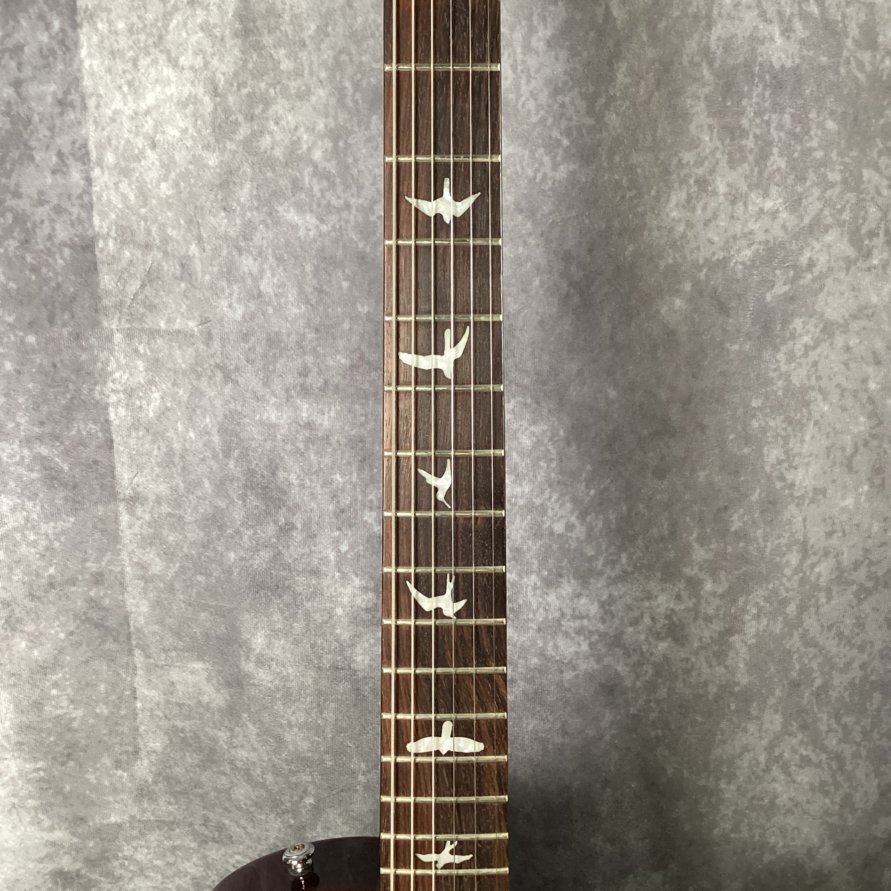 Paul Reed Smith(PRS) SE245 사진 3