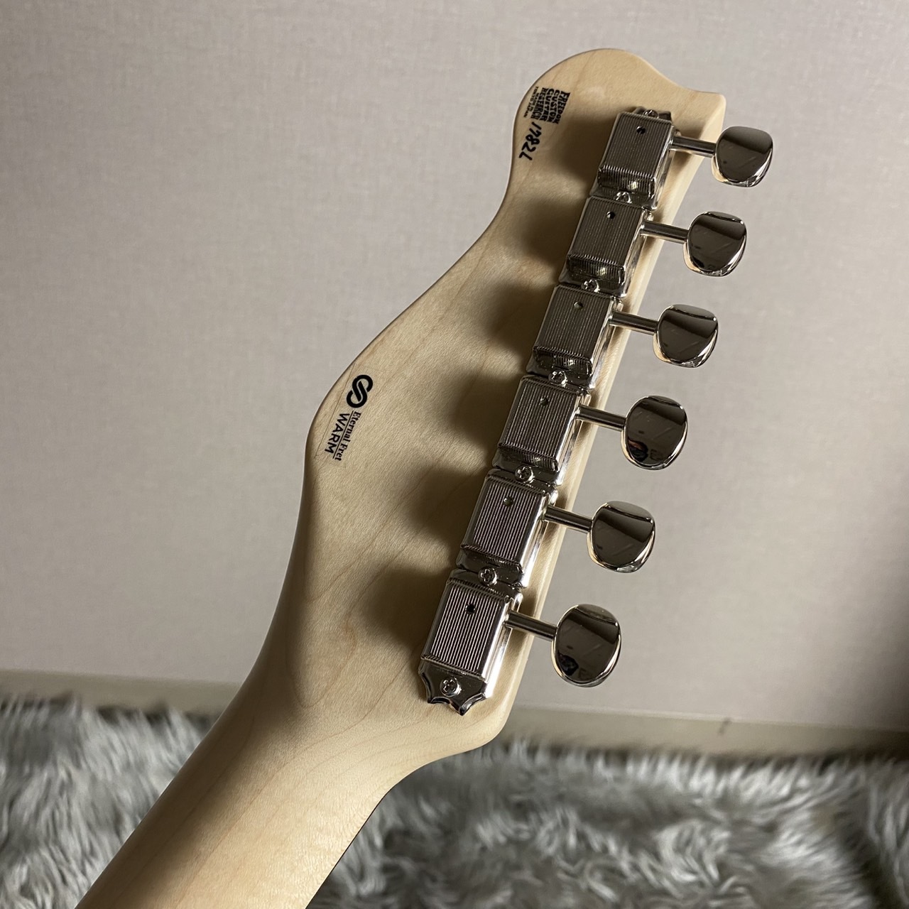 FREEDOM CUSTOM GUITAR RESEARCH C.S. Retro Series TE-TL HollowⅠ