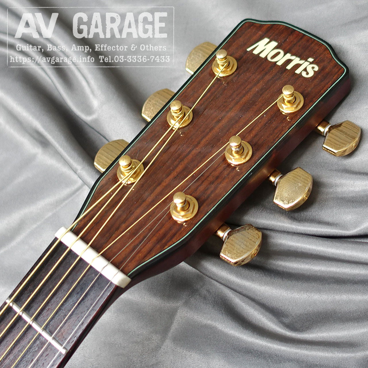 Morris M-60T Acoustic Guitar（中古）【楽器検索デジマート】