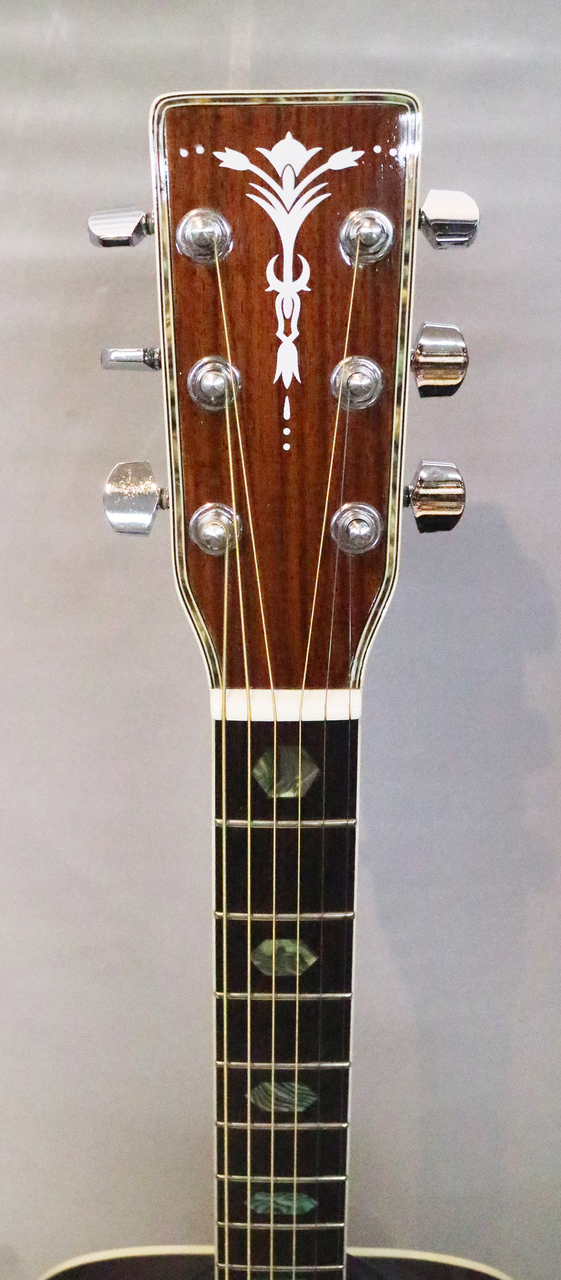 ARIA ADW-300（新品）【楽器検索デジマート】