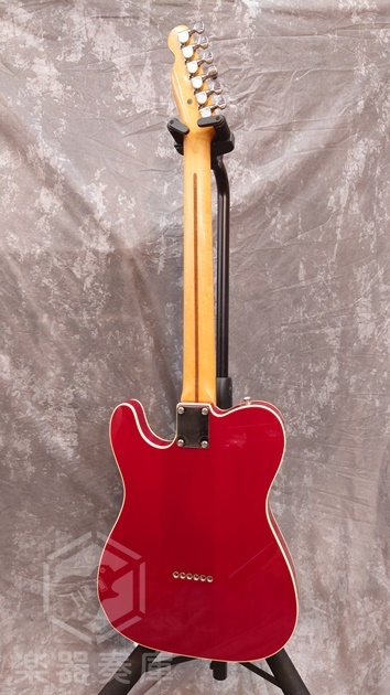 ノーブランド　テレキャスター NO BRAND Telecaster Type（中古）【楽器検索デジマート】