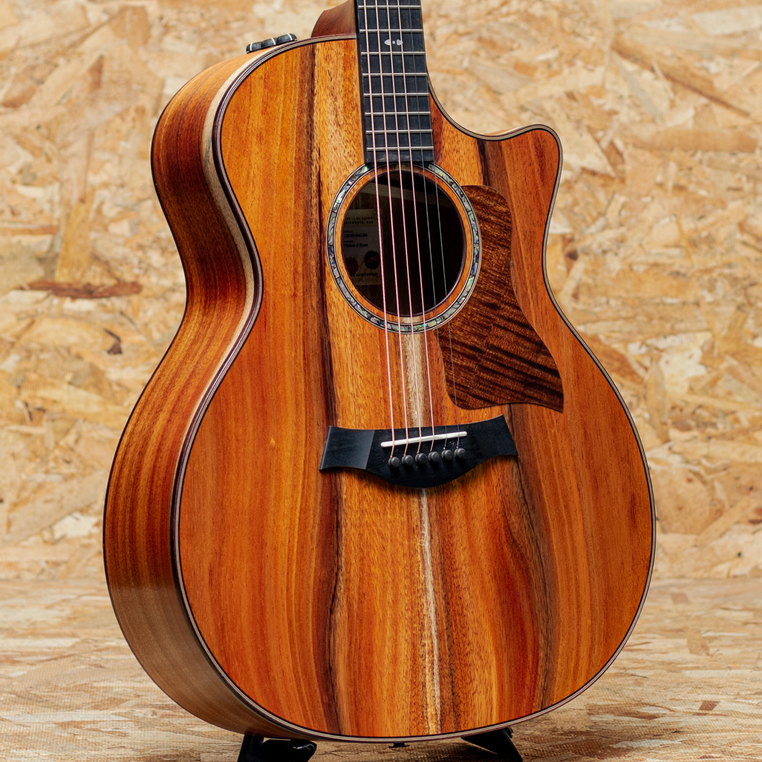 Taylor 724ce J-Spec（新品）【楽器検索デジマート】