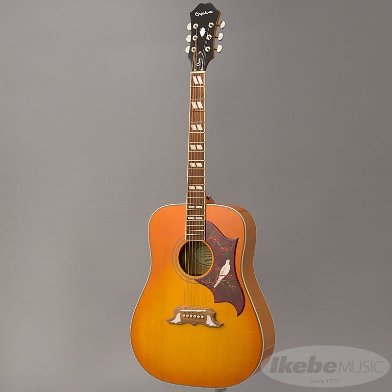 Epiphone 【数量限定エピフォン・アクセサリーパックプレゼント】DOVE
