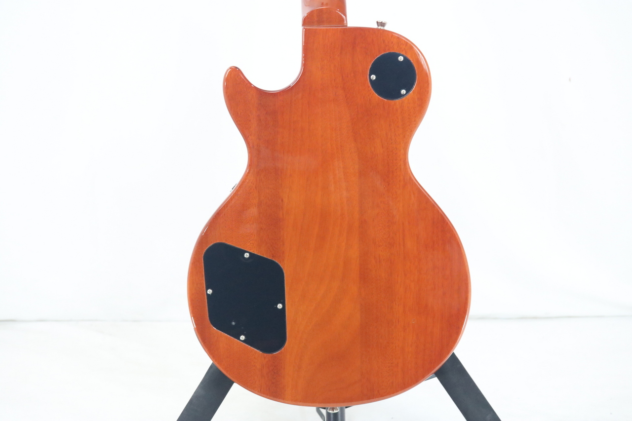 Bacchus BLP-STD 1956 GT（中古）【楽器検索デジマート】